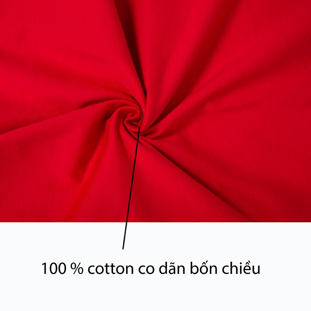 Bộ dài tay bé trai in hình khủng long chất cotton 100% thời trang thiết kế cao cấp Herokids BB20