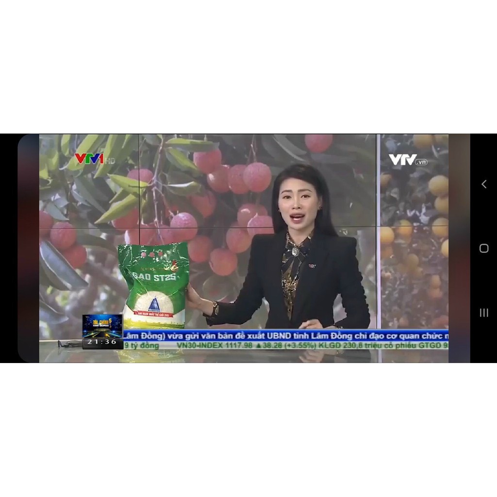 Gạo ST25 - VINASEED túi 5kg