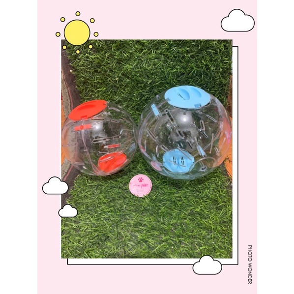 Bóng chạy nhựa trong cho hamster