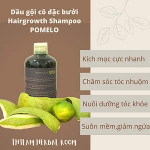 🌿Thilam Herbal Room🌿Dầu gội cô đặc bưởi mọc dài nhanh tóc/Citrus Hairgrowth Handmade Shampoo - Pomelo