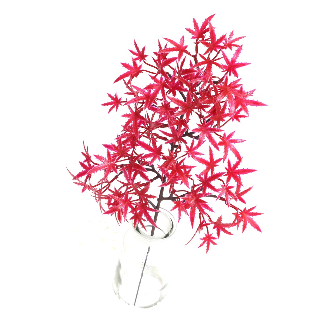 Mô hình lá phong  - Tráng trí gỗ, lũa bonsai tuyệt đẹp - Hàng chất lượng cao, màu tự nhiên.