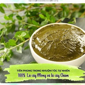 Bột Lá Nhuộm Tóc - Túi zip tiết kiệm 50Gr Orgatic - Chiết xuất 100% bột lá Móng lá chàm thiên nhiên- Handmade