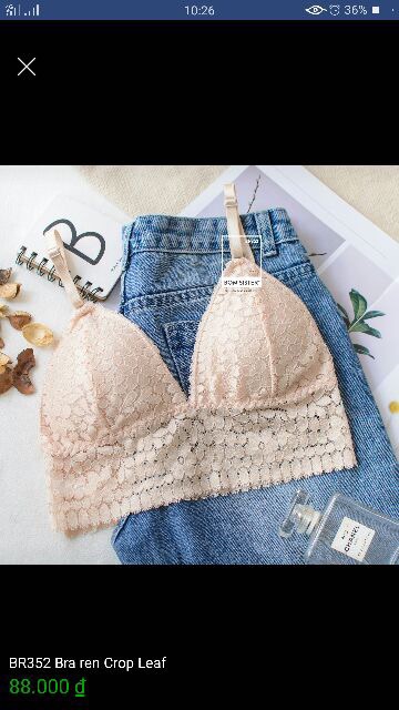 Áo bra ren nổi Sarah Lingerie móc cài sau lưng như hình