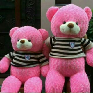 Gấu Teddy khổ 1m2 lông siêu mịn