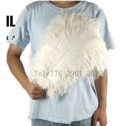 Lông vũ trắng trang trí trưng bày sang trọng decor phòng khách-làm việc-buổi tiệc ấm áp và đạo cụ chụp hình [ 40-45cm]