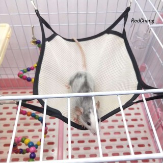 Võng Treo Cho Chuột Hamster