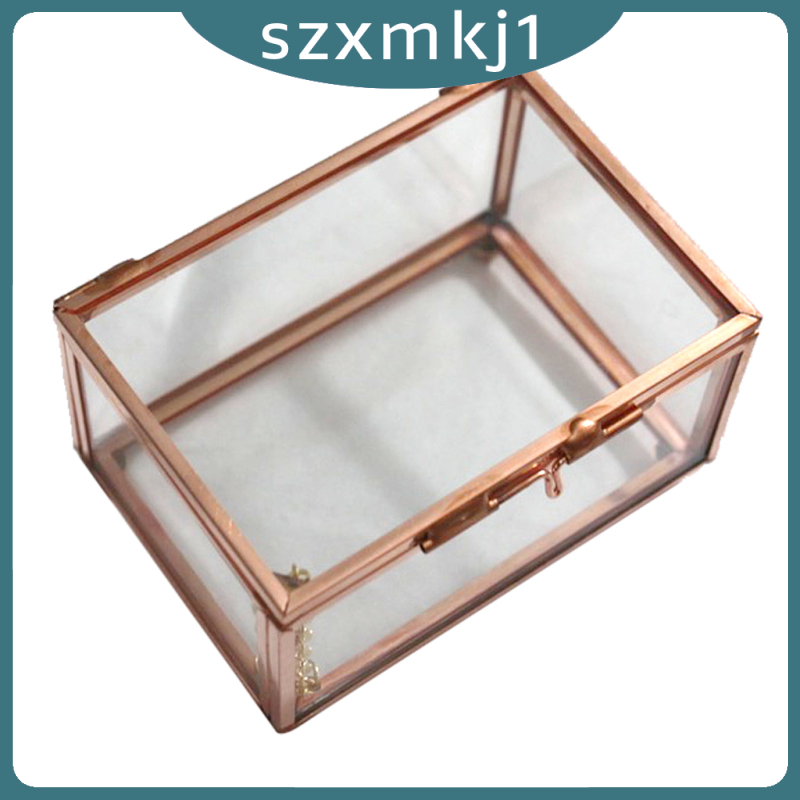 Look at me Glass Cuboid Geometric Terrarium Succulent Plants Box 10 x 7 x 6cm