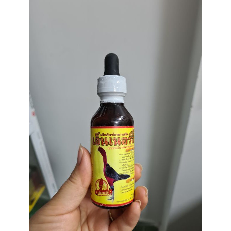 ốm trong tăng lực gà chọi