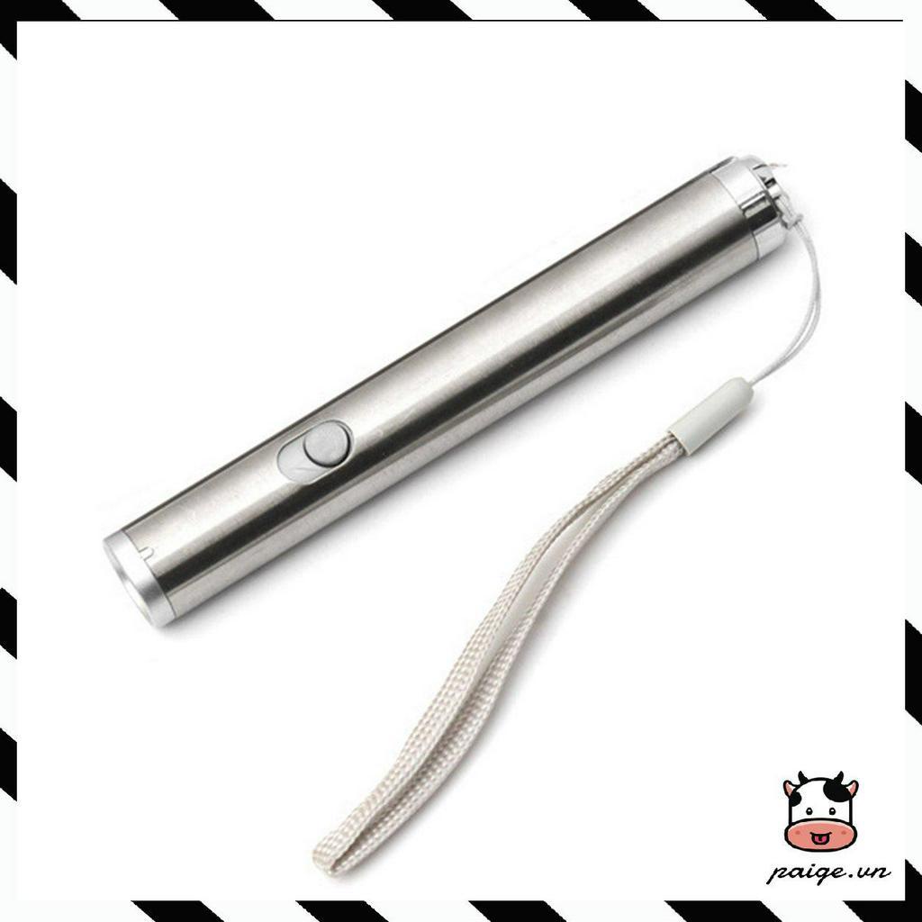 Bút Laser Đỏ Có Led Trắng Sạc 2 Trong 1 LED Làm Đồ Chơi Chọc Mèo 2020
