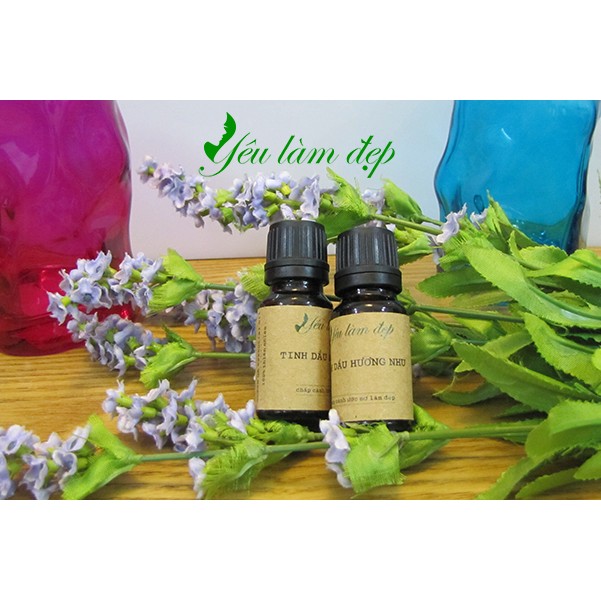 Tinh dầu hương nhu (Tulsi oil) 10ml - 30ml - 50ml - 100ml