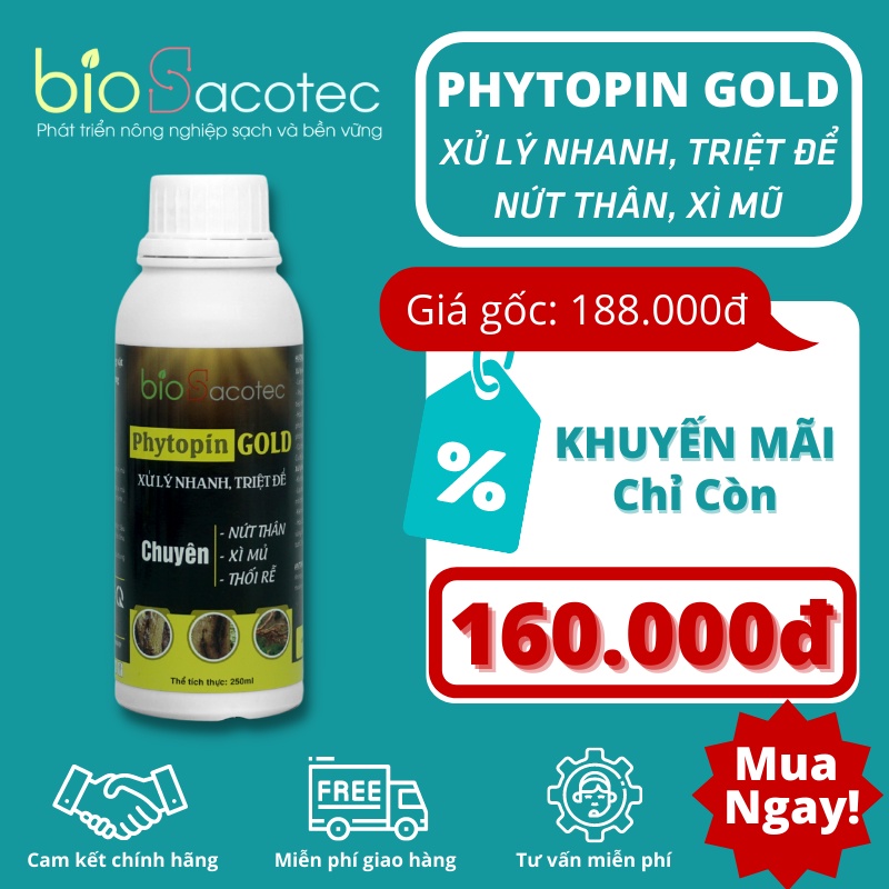 Phytopin Gold - Chuyên xử lý nứt thân xì mũ, thối rễ, nấm hồng, Phytophthora, Fusarium (bệnh chết nhanh, chết chậm)