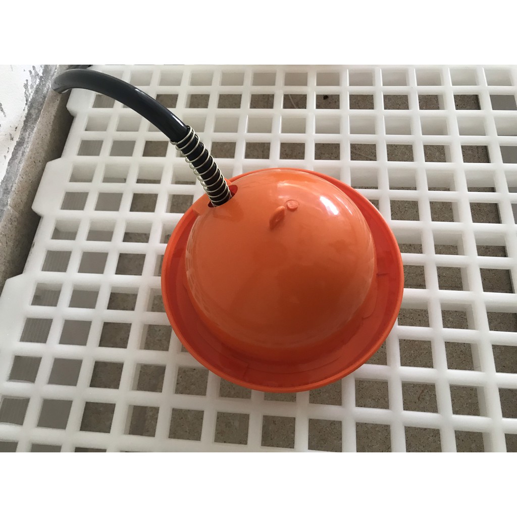Máng Uống Gà Con - Chim Cút - Vịt - Ngan