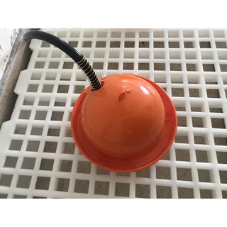 Máng Uống Gà Con - Chim Cút - Vịt - Ngan