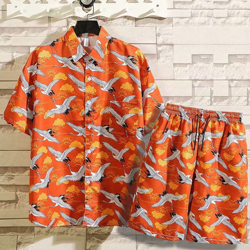 Set of Short Sleeve Flare Printed Shirts And Fashion Pants For Men | BigBuy360 - bigbuy360.vn