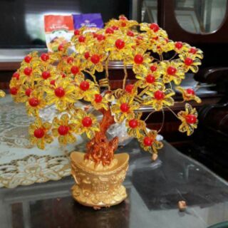 Cây tài lộc vàng