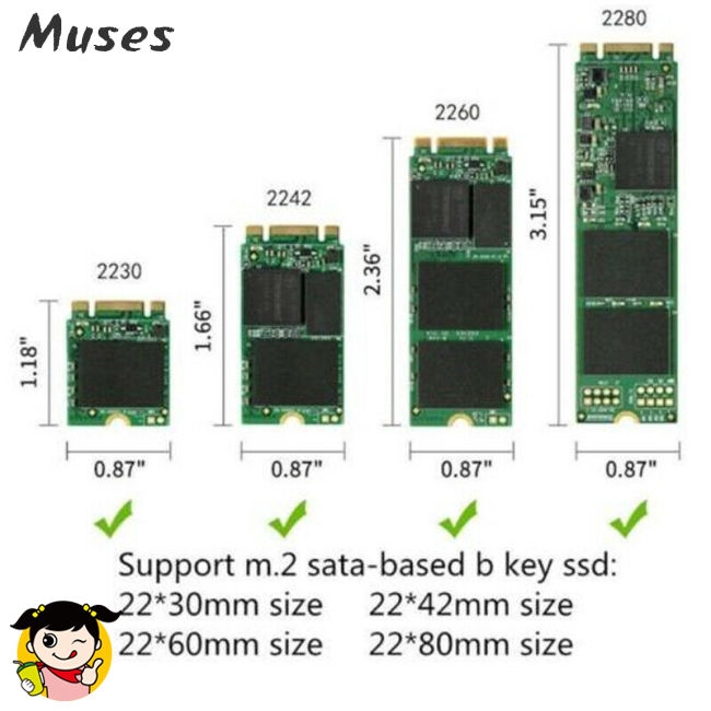 Muse07 Vỏ đựng ổ cứng M.2 NGFF - USB 3.1 Type-C SATA SSD 10Gbps chất lượng cao | BigBuy360 - bigbuy360.vn