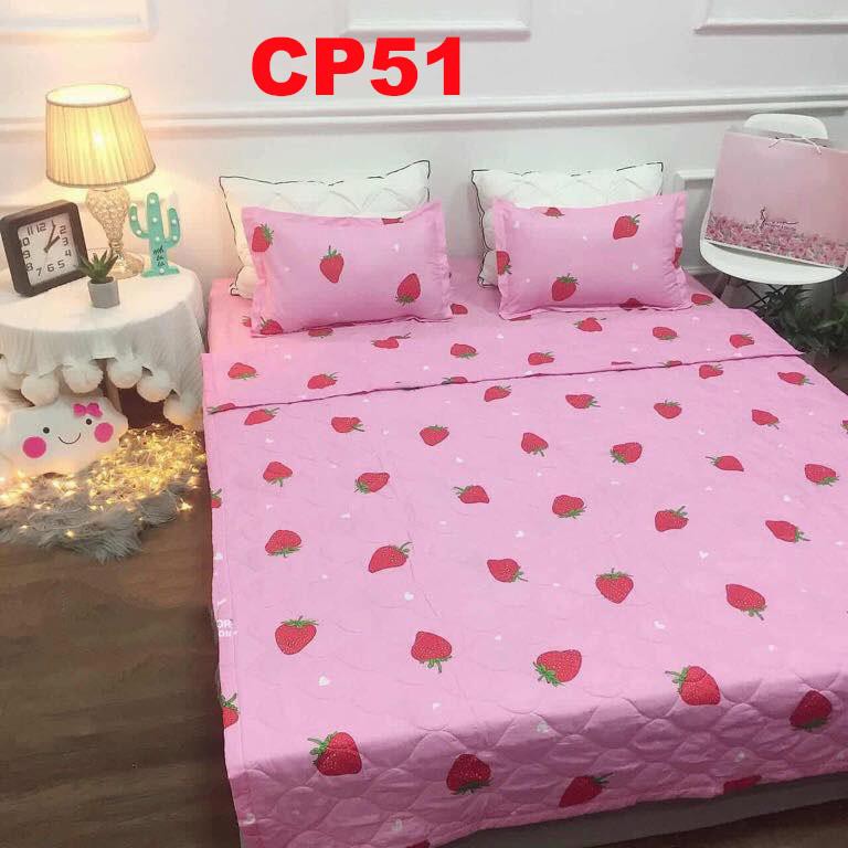 Chăn trần 2 mặt cotton poly CP27 hàng loại 1, thoáng mát, màu sắc trang nhã, phong cách hàn quốc