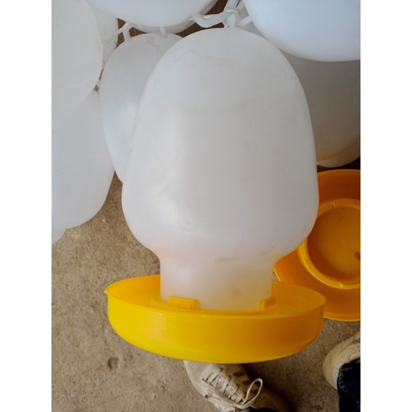 Bình uống 8l cho gà hàng bình thuận