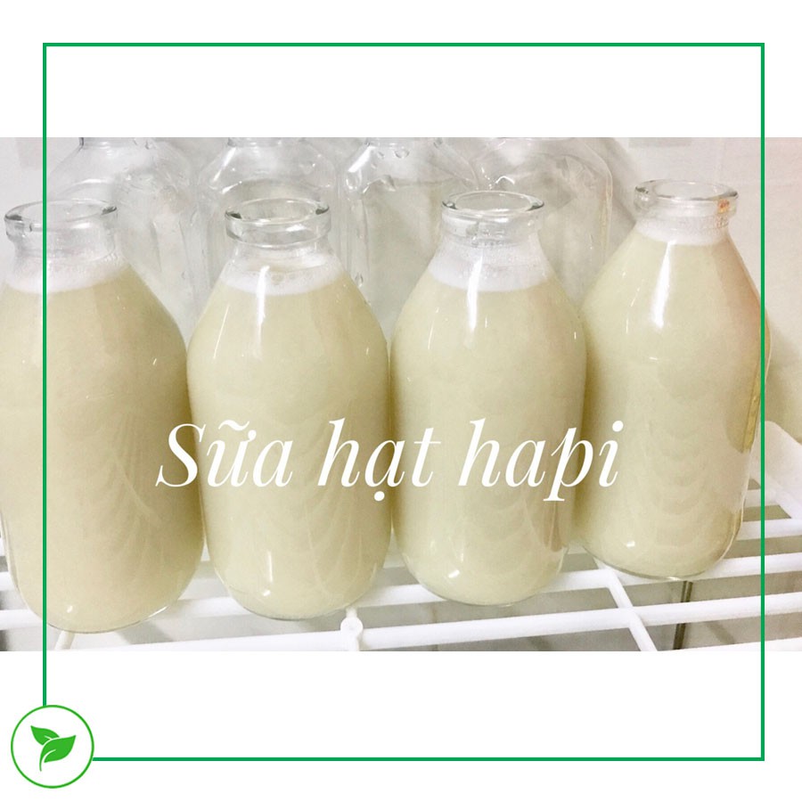 Chai Thủy Tinh, Chai Đựng Sữa Hạt 300ml - Combo 12 Chai