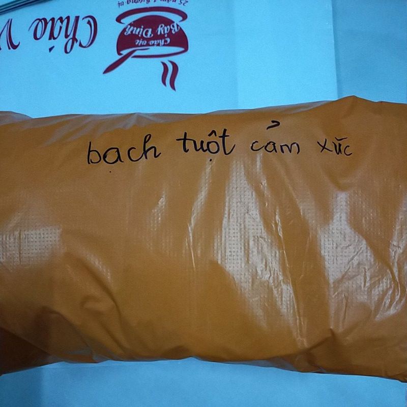 gấu bông bạch tuột cảm xúc