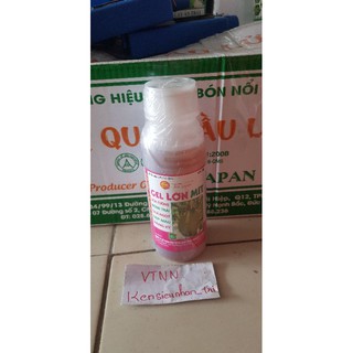 gel lớn Mít quả cầu lửa 500ml