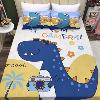 Set ga gối cotton 100%