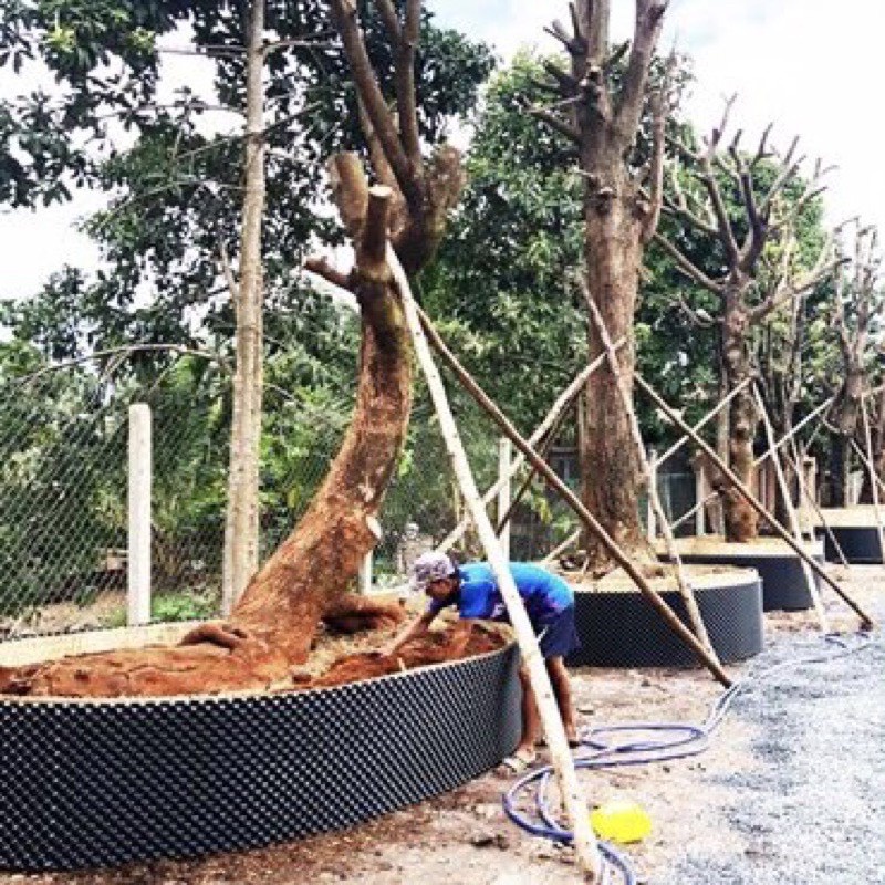 5M BẦU V6 CAO 60CM TẶNG KÈM ỐC VÍT ( KHAY TÚI ƯƠM , DỊCH TRUYỀN CHO CÂY, LƯỚI CHỐNG NẮNG)