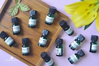 Tinh dầu trà chấm mụn Tea tree oil