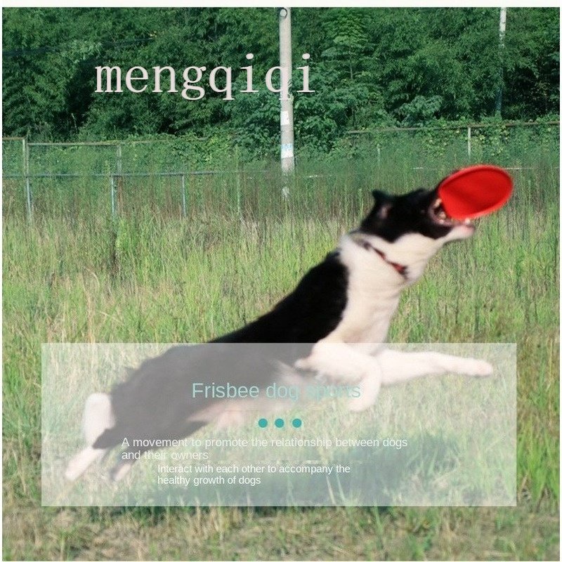 Đồ chơi tương tác HiPiDog chất liệu mềm mại chống thấm nước chống cắn cho thú cưng