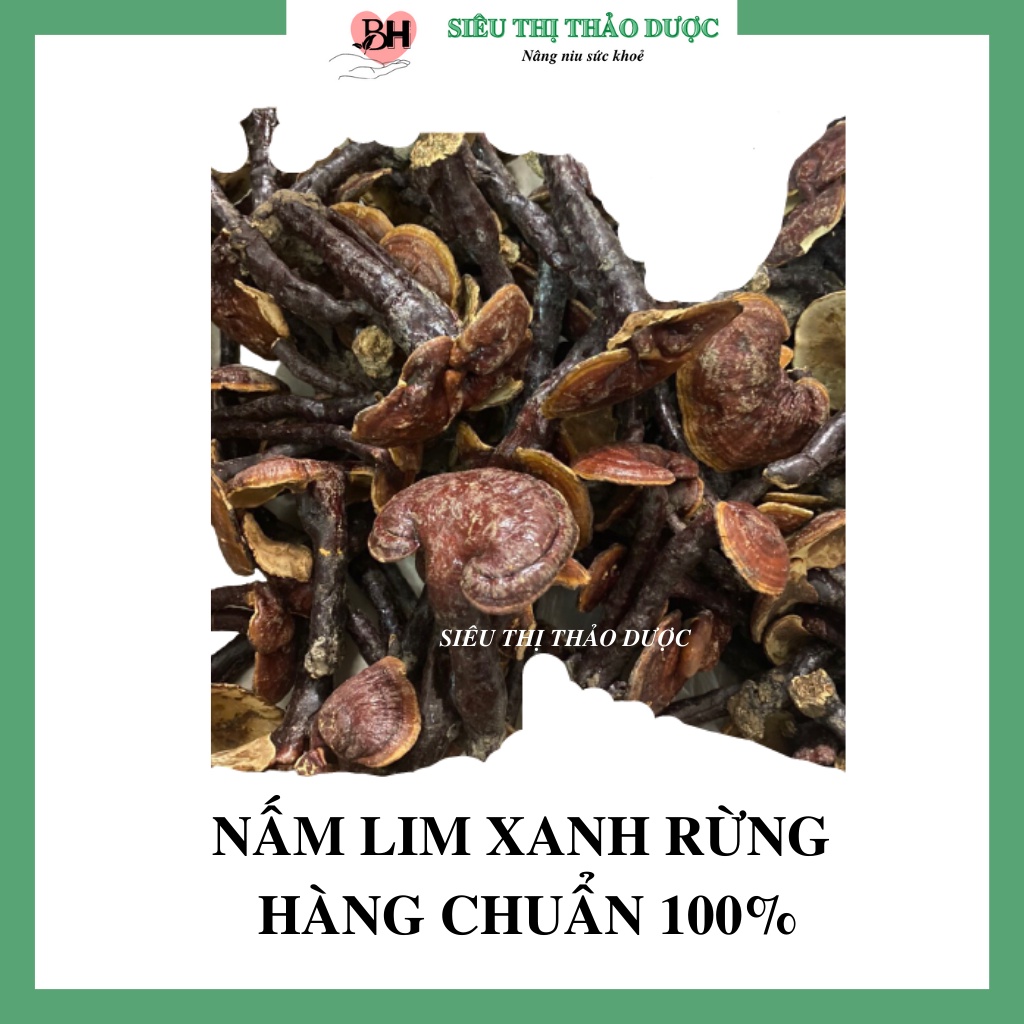 Nấm Lim Xanh Hàng Chuẩn Rừng Tự Nhiên 100Gr | BigBuy360 - bigbuy360.vn