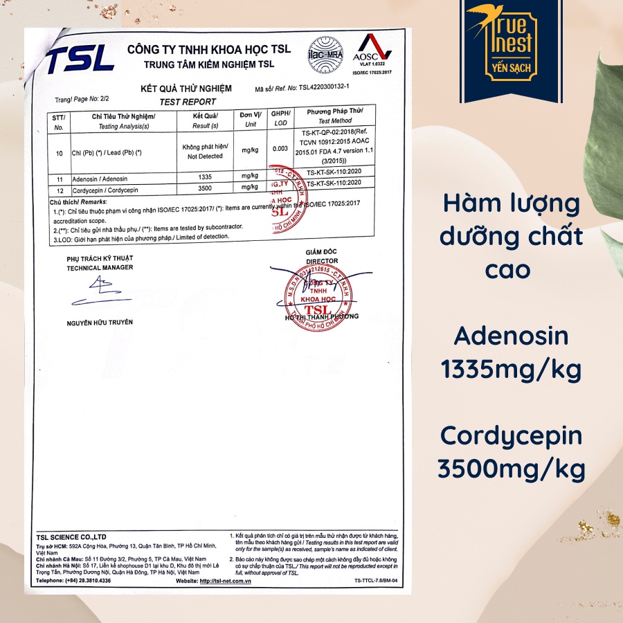 Nấm Đông Trùng Hạ Thảo True Nest - Sấy Thăng Hoa - 10g 20g