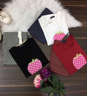 Set bộ
