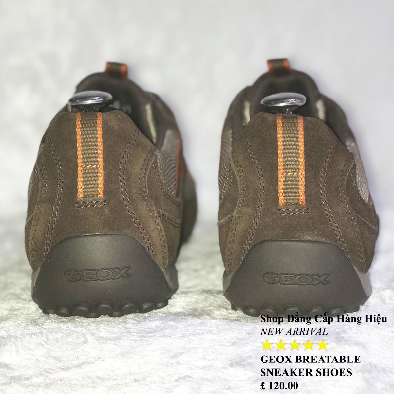 Giày Geox màu nâu