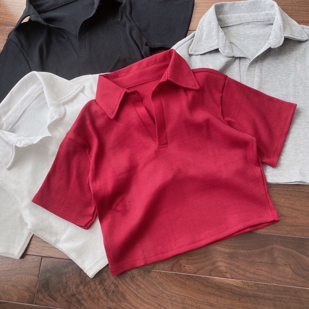 Áo thun croptop có cổ
