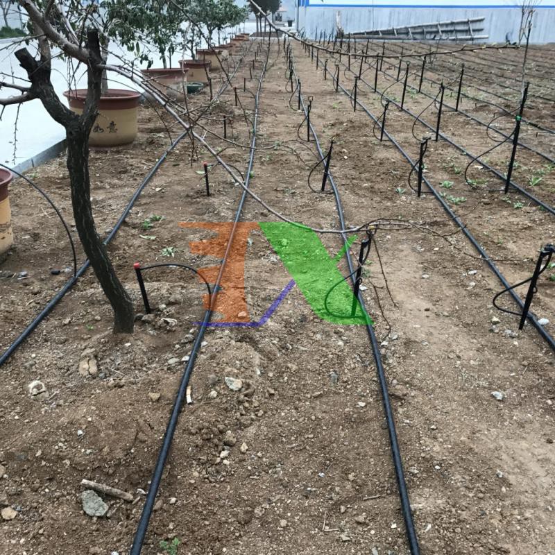 Cuộn 400m Dây LDPE 20 mm Dày 1.3 mm, Dây dẫn nước tưới cây