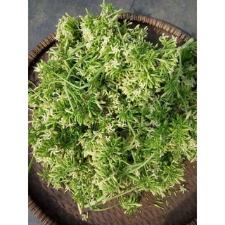 Hoa đu đủ đực khô 500g