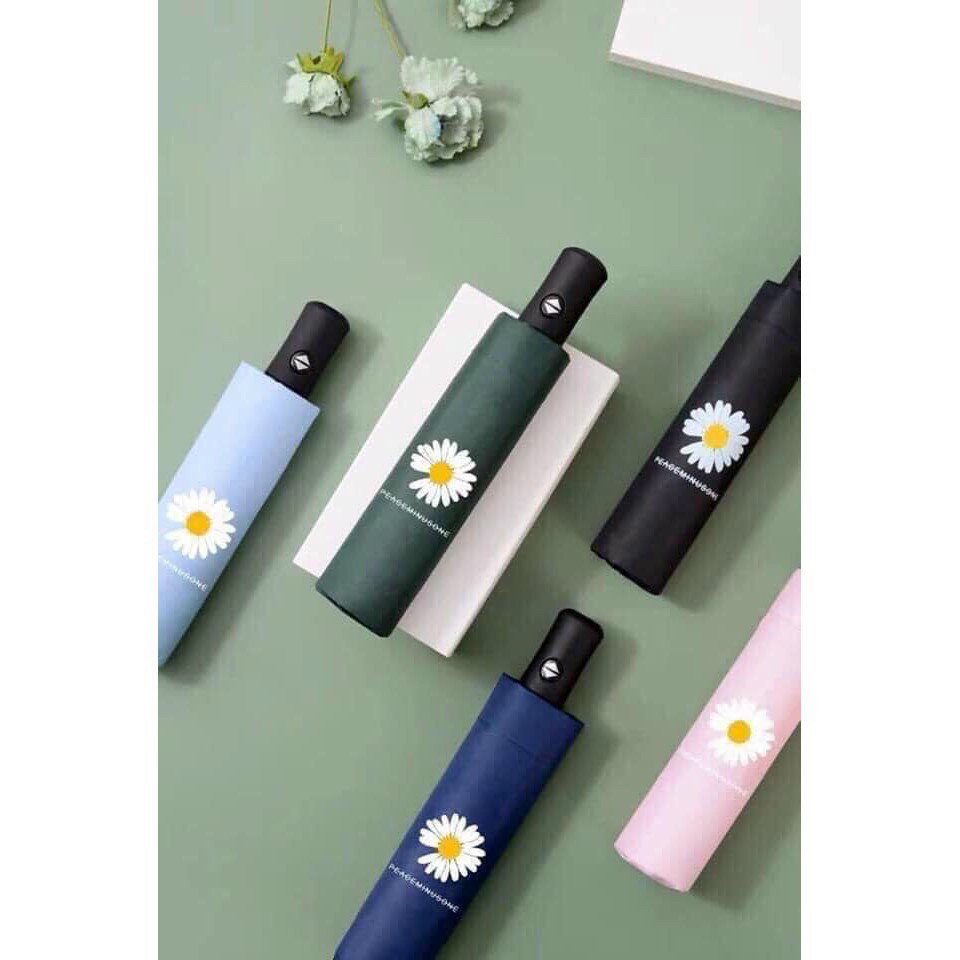 Ô dù họa tiết hoa cúc che mưa nắng chống tia Uv loại 1