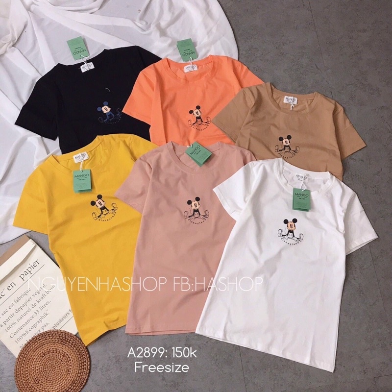 Áo thun thái giá rẻ mua lẻ =sỉ