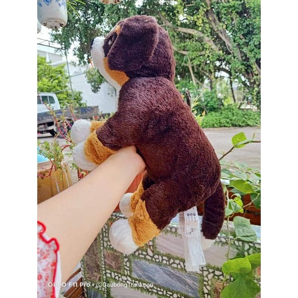 gấu bông chó nâu sz 50cm