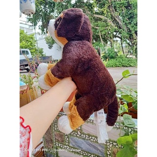 gấu bông chó nâu sz 50cm