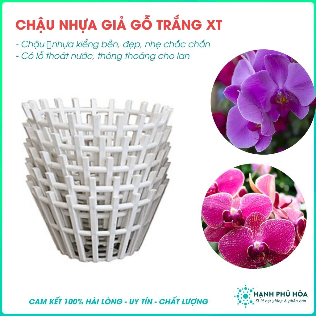 Bộ 3 Chậu Lan Giả Gỗ Trắng Kích Thước Tuỳ Chọn