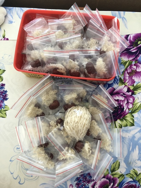 Yến túi chia sẵn siêu tiện lợi cho bé | BigBuy360 - bigbuy360.vn