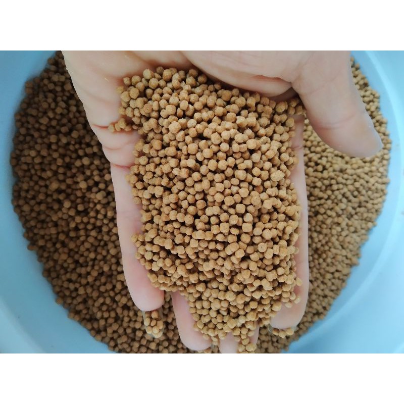 Cám max tanh  1mm đến 3mm chuẩn nuôi cá vàng ,cá koi. mồi câu rô, chép