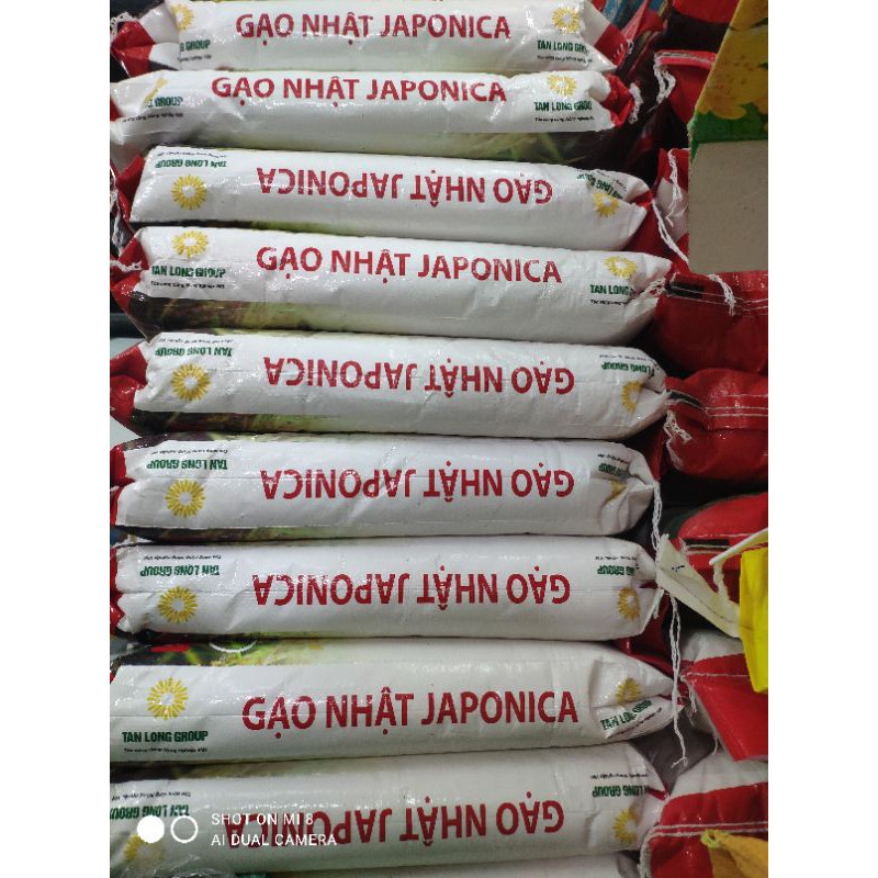 Gạo Nhật Japonica Túi 10kg