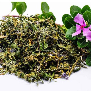 KV - Dừa cạn khô (dua can kho) sp0