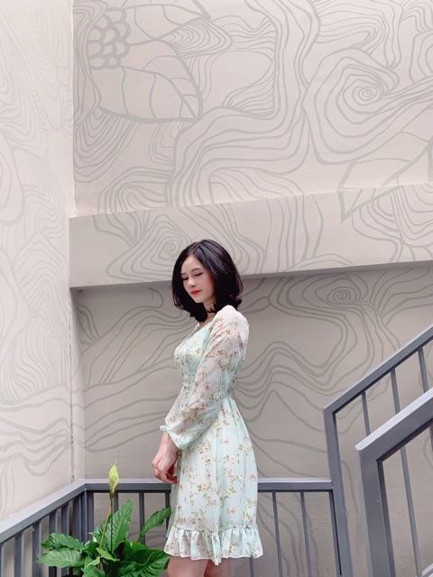 ĐẦM HOA NHÍ CHÂN BÈO