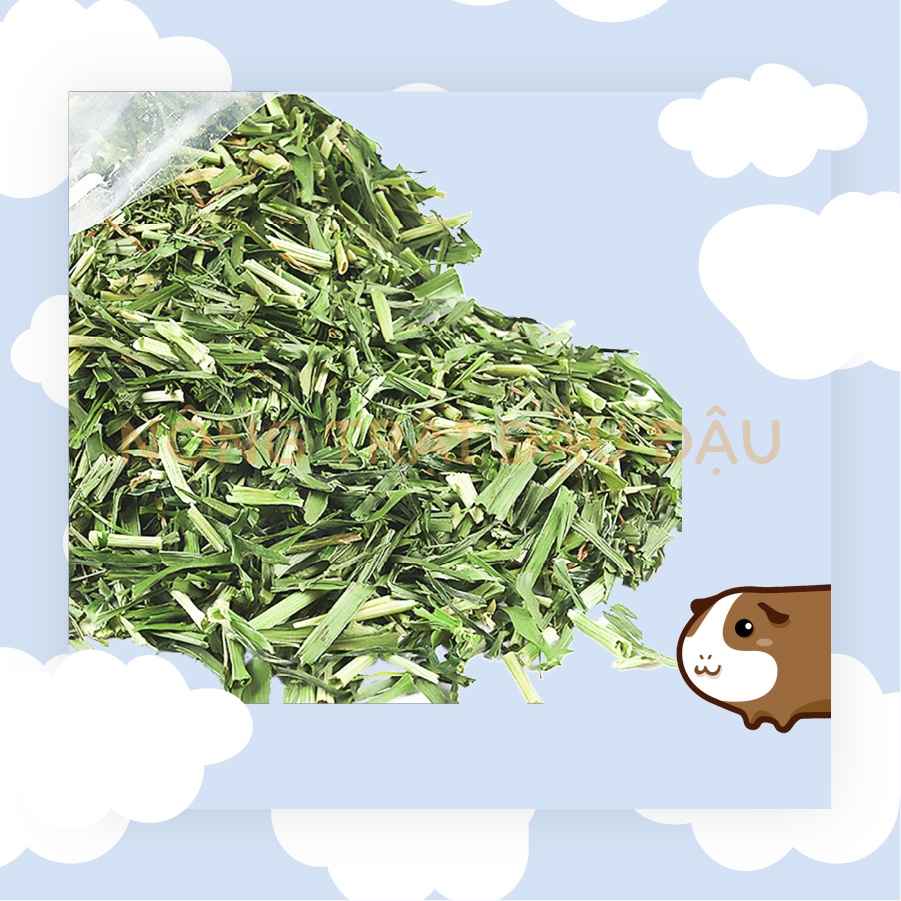Cỏ lúa mạch siêu dinh dưỡng dành cho Thỏ, Bọ Ú cắt sẵn, đảm bảo thơm