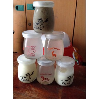 Bộ 12 cốc làm sữa chua