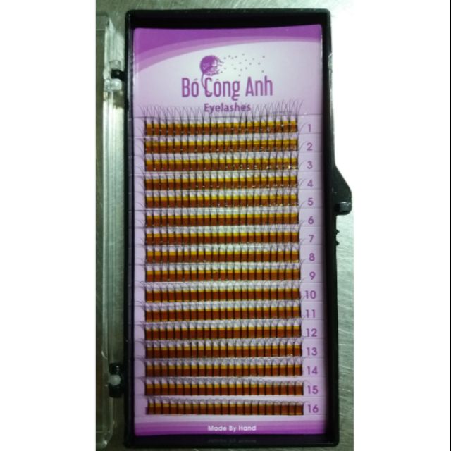 Mi nối chùm 3D