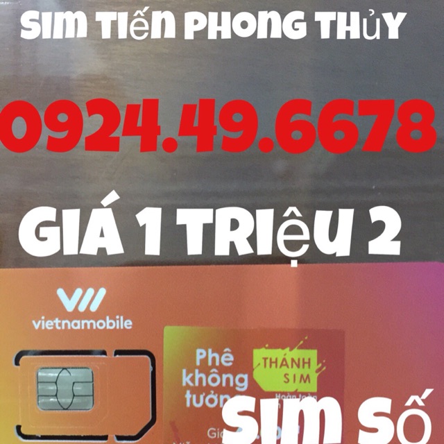 Sim tiến phong thủy